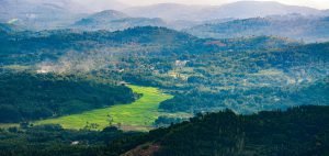 Why Districts Must Anchor India’s Carbon Sequestration, Net-Zero Climate Transition