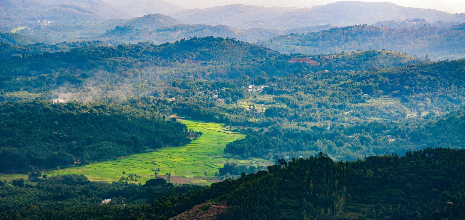 Why Districts Must Anchor India’s Carbon Sequestration, Net-Zero Climate Transition