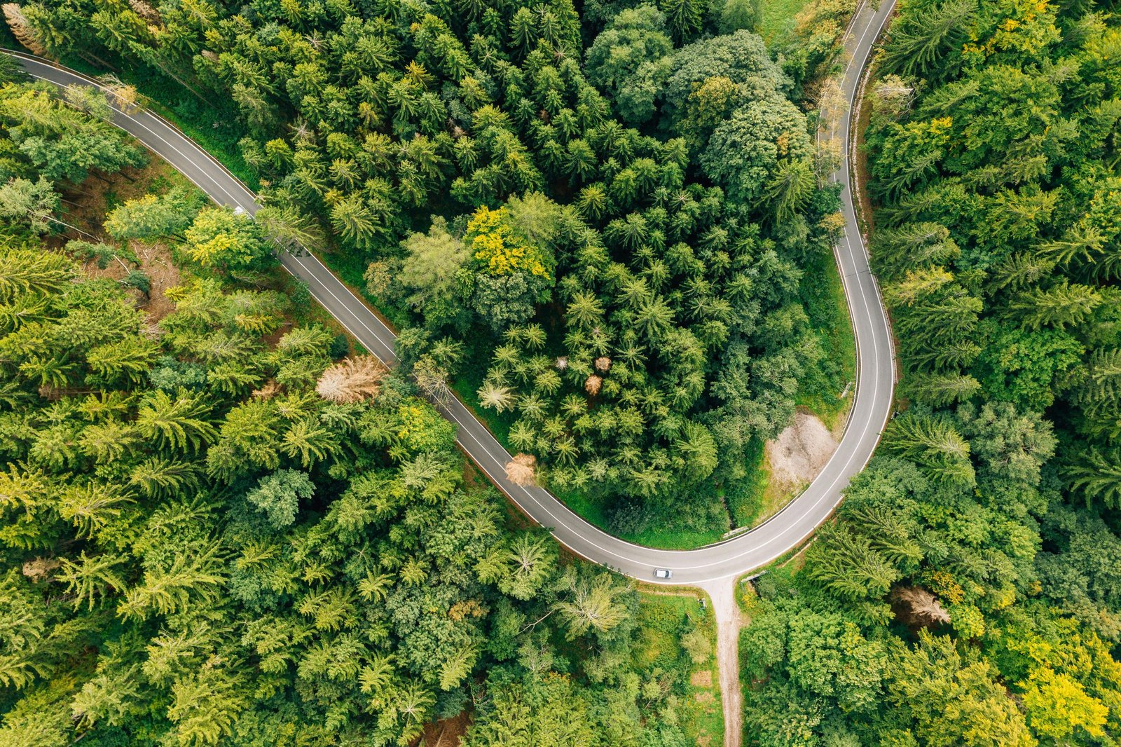 Why Weak ESG Enforcement Fails Economies and Communities