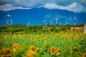 Beyond Capacity: Unlocking the Full Potential of India’s Clean Energy
