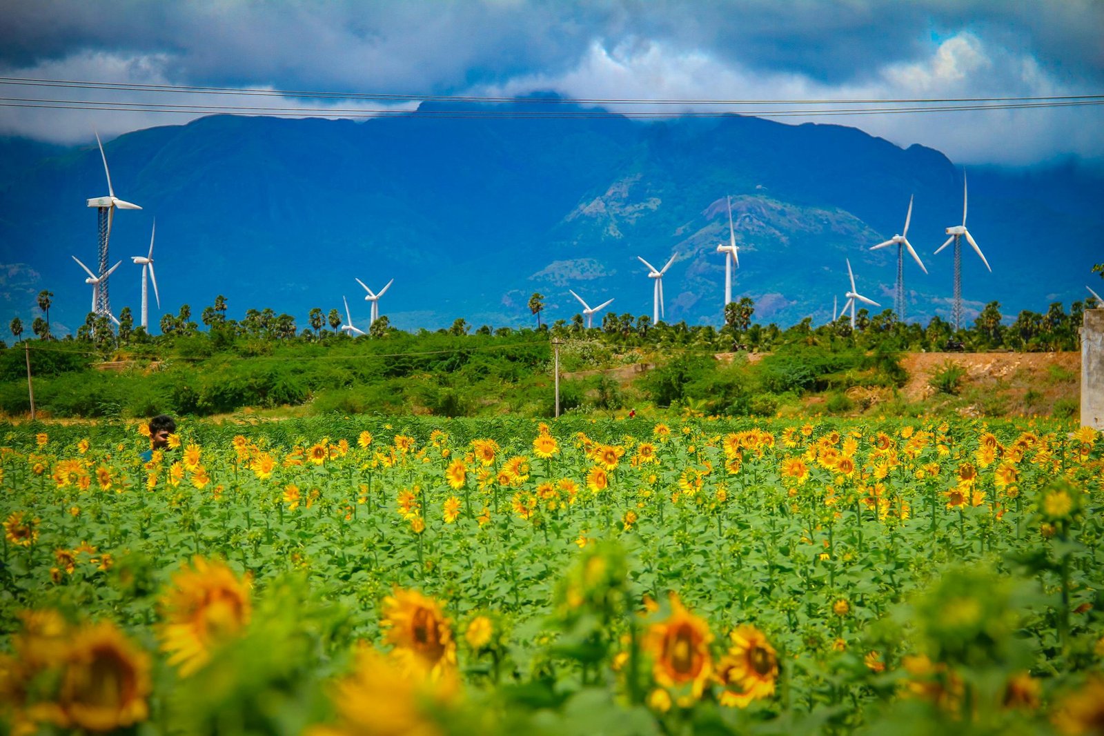 Beyond Capacity: Unlocking the Full Potential of India’s Clean Energy