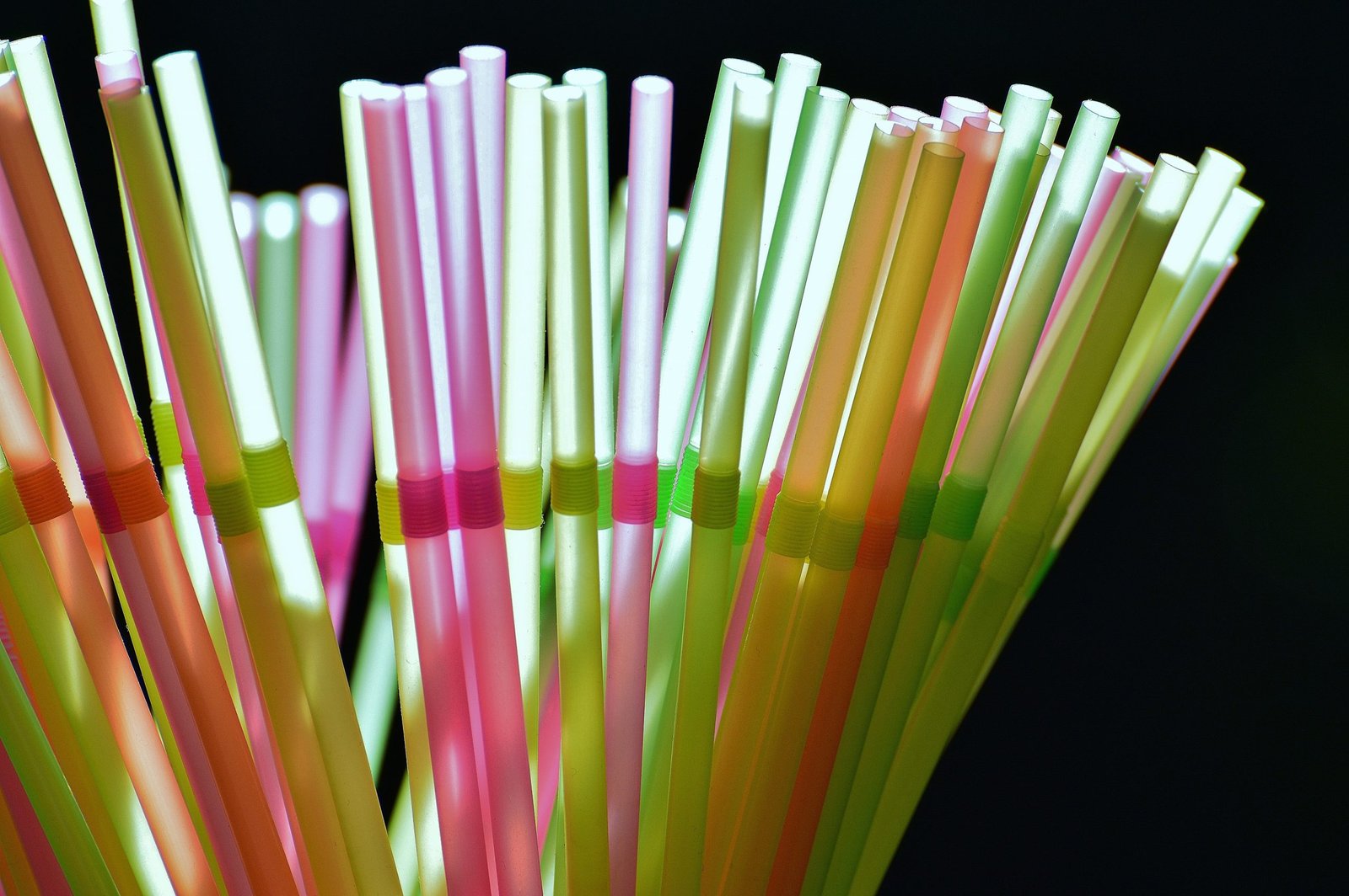 Why Banning Single-Use Plastic Fails