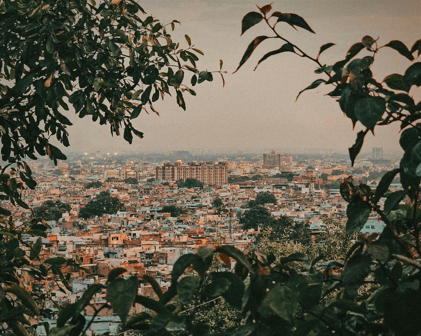 Cooling cities, not just algorithms: Making AI work for India’s most vulnerable