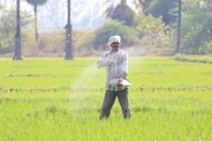 Hormuz Crisis: Time of Tackle India’s Fertilizer Godzilla That’s Eating the Budget