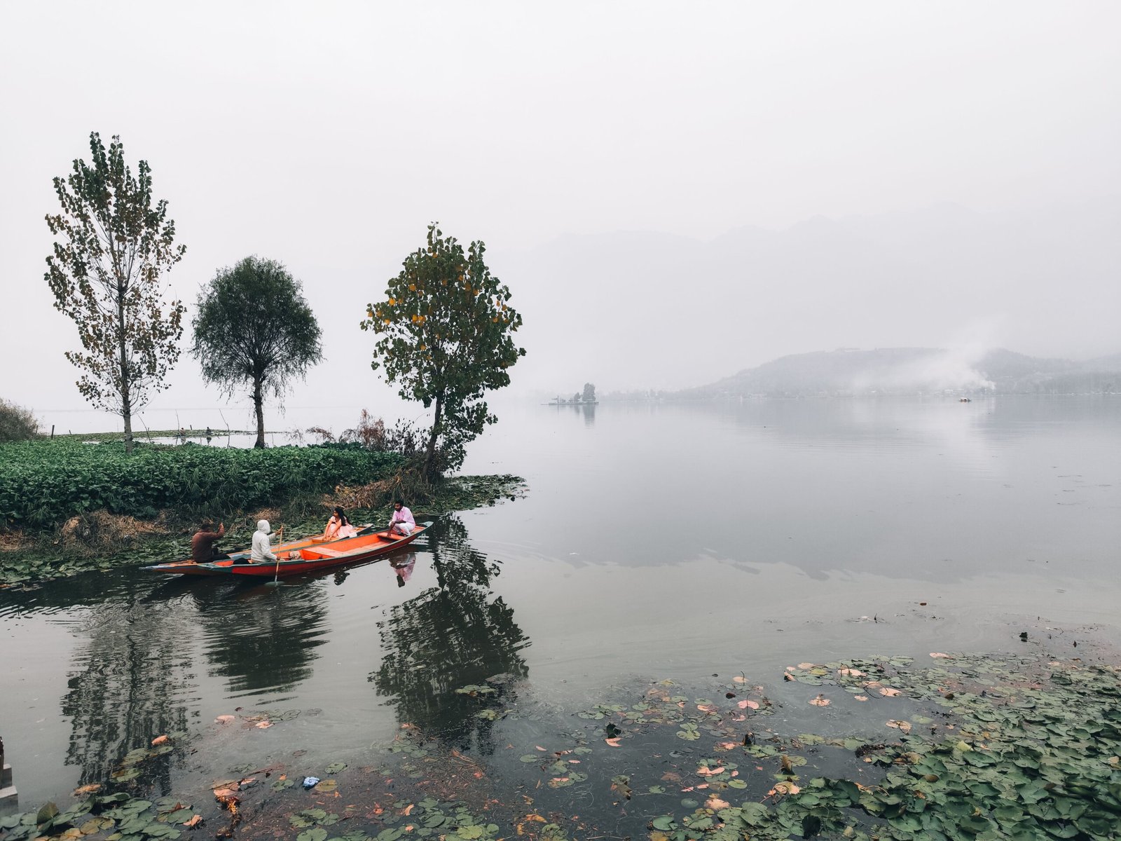 Scientists Test Turning Aquatic Weeds into Liquid Fertilisers