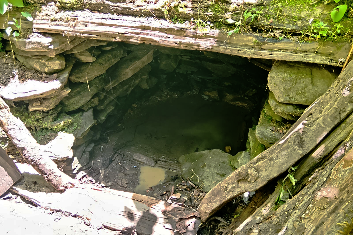 A traditional spring, locally known as a dibri, in a Himalayan village. The natural water source, fed by groundwater seeping to the surface, has long provided drinking water for local communities and their livestock. Many such springs are now drying up due to changing rainfall patterns.