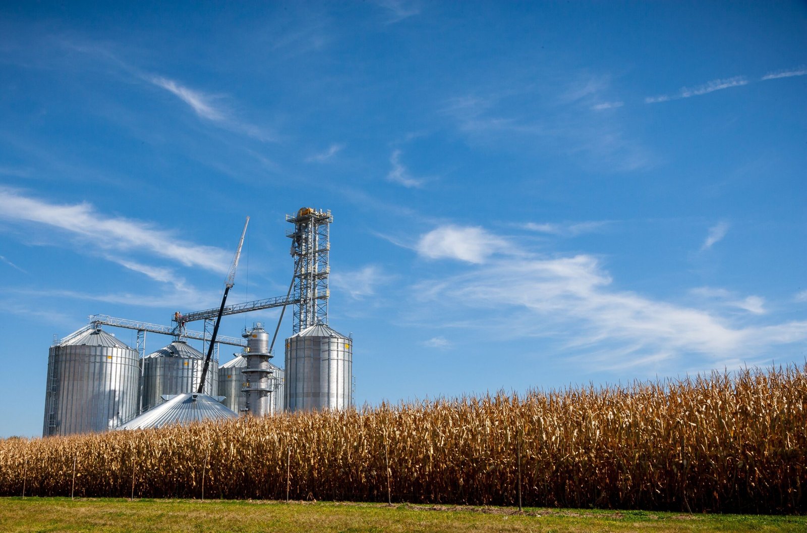 The Way Ahead for India’s Ethanol Blending Programme