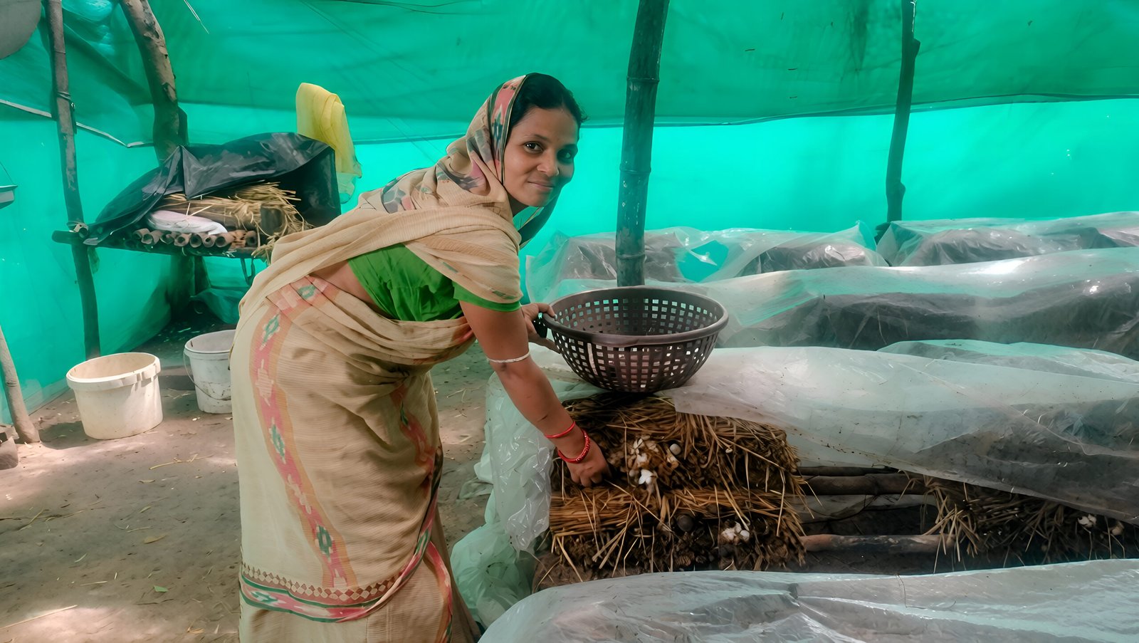 Can Odisha Prevent a Punjab-Like Stubble Burning Crisis?