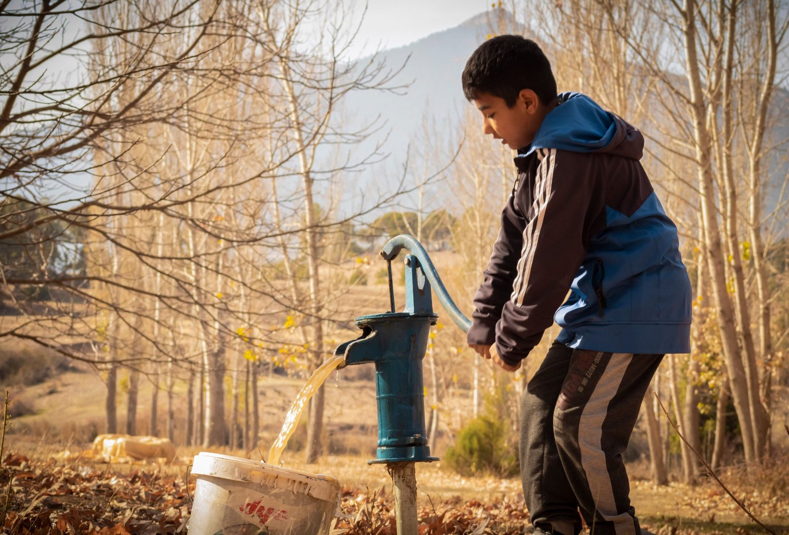 Climate Solutions Need Time to Take Root